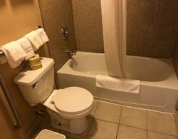 Riverton Inn & Suites Banyo Tipleri