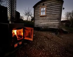 Robins Retreat - Orchard With hot tub - see Extras Dış Mekan