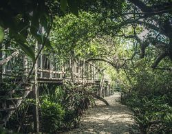 Roc Jungle Tulum Dış Mekan