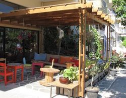 Rodos Backpackers Genel