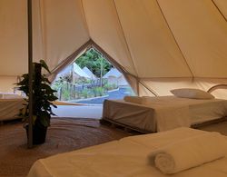 Roost Glamping Oda