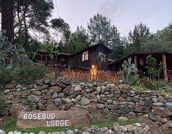 Rosebud Lodge Dış Mekan