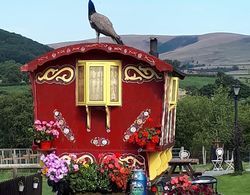 Rosie Traditional Gypsy Wagon Dış Mekan