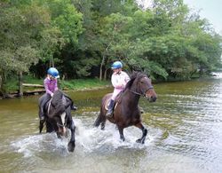 Ross House Equestrian Holidays Genel