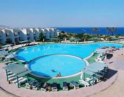 Royal Paradise Beach Resort Havuz