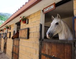 Rusticae El Hotelito Dış Mekan