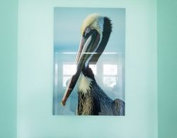 Rusty Pelican İç Mekan
