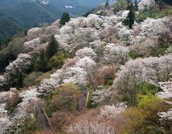 Ryokan Kato - Yoshino Dış Mekan