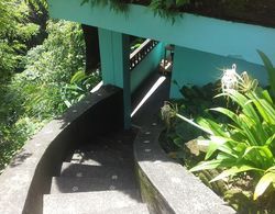 Villa Sakti Ubud - Taman Sakti Resort Dış Mekan