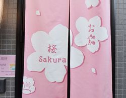 Sakura Dış Mekan