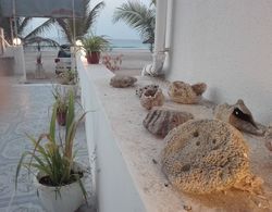 Salalah Beach Resort - Villas Dış Mekan