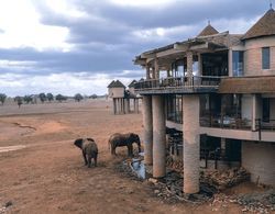 Salt Lick Safari Lodge Öne Çıkan Resim