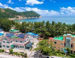 Samcheok Sol Beach Pension Dış Mekan