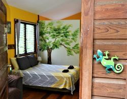 Sanpopo Tree Top Cottage - A Gold Standard Tourism Approved Tree Top Home Dış Mekan