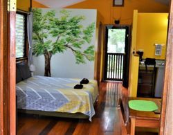 Sanpopo Tree Top Cottage - A Gold Standard Tourism Approved Tree Top Home Dış Mekan