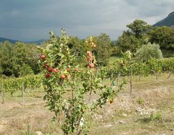 Santa Pigna Country House Dış Mekan