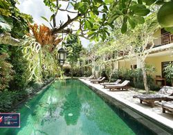 Sapodilla Ubud Öne Çıkan Resim