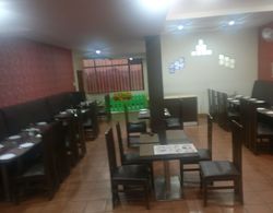 Hotel Savi Regency Genel