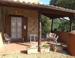 Scenic Farmhouse in Paciano With Shared Pool Dış Mekan