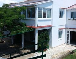 Scenic Apartment in Dalmatia With Lovely Garden Dış Mekan