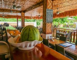 Scent of Green Papaya Resort Genel