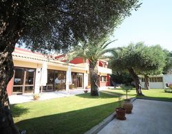 Scheria Hotel Dış Mekan