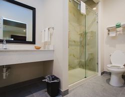 Scottish Inns & Suites Atascocita Banyo Tipleri