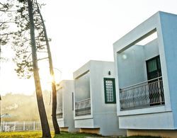 Sea & Pine Pension Dış Mekan