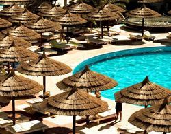 Seagull Beach Resort Havuz