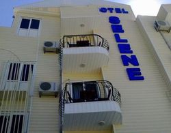 Selene Hotel Genel