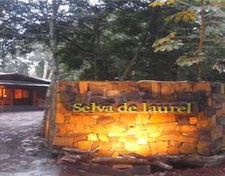 Selva De Laurel Lobi