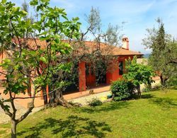 Semi-detached House in Traditional Agriturismo With Clear View of the Chianti Dış Mekan
