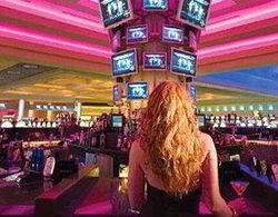 Seminole Hard Rock Hotel & Casino - Tampa Bar