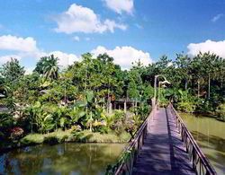 Sepilok Jungle Resort Genel
