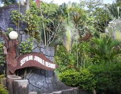 Sepilok Jungle Resort Genel