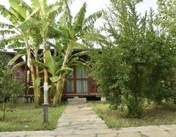 Serenity Bungalows Genel