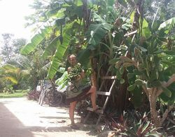 Serenity Retreats Belize  - A Vegan Resort Dış Mekan
