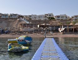 Shark Bay Oasis Genel