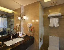 Shenzhen Hanlin Hotel Banyo Tipleri