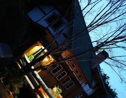 Shimano Log House Oda Düzeni