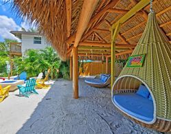 Siesta Key Palms Resort Genel