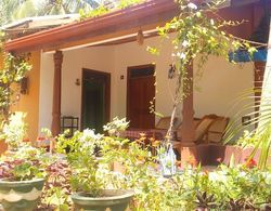 Sigiriya Nature Villa Lodge Dış Mekan