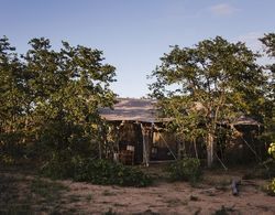 Simbavati Trails Camp Dış Mekan