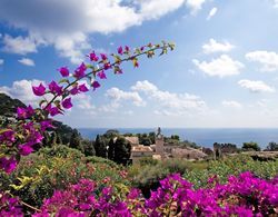 Sina Flora Capri Dış Mekan