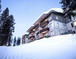 Ski-Inn PyhäSuites Öne Çıkan Resim