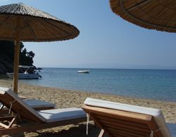 Skiathos Holidays Hotel Plaj