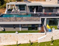 Villa Skywalker Genel