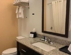 Sleep Inn & Suites Carlsbad Caverns Area Banyo Tipleri