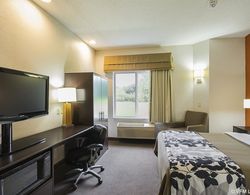 Sleep Inn & Suites Danville Genel