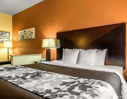 Sleep Inn & Suites Decatur downtown Genel